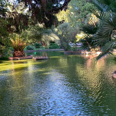 Manai Site Masdorcyan Cagnes-sur-Mer